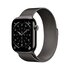 Apple Watch Series 11 GPS + Cellular 46mm Cassa Titanio Ardesia con Loop Milanese Ardesia - M/L