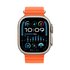 Apple Watch Ultra 2 GPS + Cellular, Cassa 49m in Titanio con Cinturino Ocean Arancione