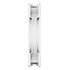 Arctic P14 Pro PST Case per computer Ventilatore 14 cm Bianco 1 pz