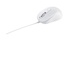 Asus MU101C USB Ottico 3200 DPI Ambidestro Bianco