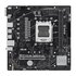 Asus PRIME A620M-E-CSM AMD A620 Presa di corrente AM5 micro ATX