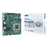 Asus Pro A620AT-CSM AMD A620A Socket AM5 Thin Mini ITX
