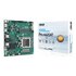 Asus Pro A620AT-CSM AMD A620A Socket AM5 Thin Mini ITX