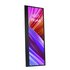 Asus ProArt PA147CDV 35,6 cm (14