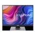 Asus ProArt PA248QV 24.1