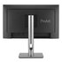 Asus ProArt PA249CGV Monitor PC 60,5 cm (23.8