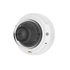 Axis P3375-LV IP Interno Cupola Parete 1920 x 1080 Pixel
