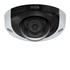 Axis P3935-LR IP Cupola FullHD Soffitto