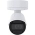 Axis Q1809-LE 150mm Pallottola (forma) Telecamera di sicurezza IP Esterno 7680 x 4320 Pixel Soffitto/muro