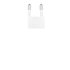 Belkin BoostCharge Adattatore a muro Dual USB-C 60W PD