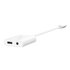 Belkin NPA004BTWH hub di interfaccia USB tipo-C Bianco