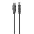 Belkin USB 2.0 A - USB 2.0 B, 1.8m 1.8m USB A USB B Maschio Maschio Grigio cavo USB