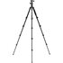 Benro iFoto A-19 con Testa IH0