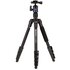 Benro iFoto A-19 con Testa IH0