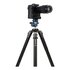 Benro Testa a 3 vie GD36PT