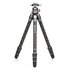 Benro Tortoise 24C + Testa GX30