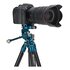 Benro TSSL08APHVF2 treppiede Fotocamere digitali/film 3 gamba/gambe Nero, Blu