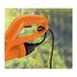 Black & Decker GL250 23cm AC 250 W