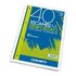 Blasetti 2339- carta milllimetrata A4 80 g/m² 40 fogli