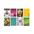 Blasetti 7065 A4 20 fogli Colori assortiti