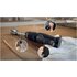 Bosch Serie 4 MSM4B623 frullatore 0,6 L Frullatore ad immersione 1000 W Antracite, Trasparente