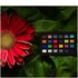 Calibrite Classic Nano 24 colori
