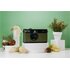 Camp Snap Screen Free Digital Cameras Forest Green