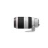 Canon EF 100-400mm f/4.5-5.6 L IS II USM