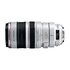 Canon EF 100-400mm f/4.5-5.6 L IS USM Stabilizzato