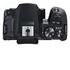 Canon EOS 250D Body