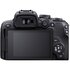 Canon EOS R10 + RF-S 18-150mm f/3.5-6.3 IS STM