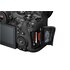 Canon EOS R6 Mark III + RF 24-105mm f/4-7.1 IS STM