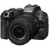 Canon EOS R6 Mark III + RF 24-105mm f/4-7.1 IS STM
