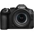 EOS R6 Mark III + RF 24-105mm f/4-7.1 IS STM