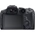 Canon EOS R7 + RF-S 18-150mm f/3.5-6.3 IS STM
