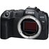 Canon EOS R8 + LP-E17