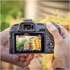 Canon EOS R8 + LP-E17