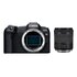 Canon EOS R8 + RF 24-105mm f/4-7.1 IS STM