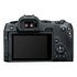Canon EOS R8 + RF 24-105mm f/4-7.1 IS STM