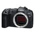 Canon EOS R8 + RF 24-105mm f/4-7.1 IS STM