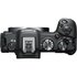 Canon EOS R8 + RF 24-50mm f/4.5-6.3 IS STM