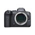 EOS R8 + Adattatore EF-EOS R Auto Focus per ottiche Canon EF/EF-S su Canon RF