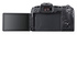 Canon EOS RP + RF 24-105mm f/4 L IS USM + Adattatore da EF a RF