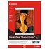 Canon Fine Art Paper "Museum Etching" A3+ 350g/m2 20 fogli