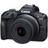 Canon EOS R100 + RF-S 18-45mm f/4.5-6.3 IS STM