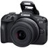Canon EOS R100 + RF-S 18-45mm f/4.5-6.3 IS STM