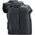 Canon EOS R6 Mark II Body