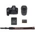 Canon EOS R6 Mark II + RF 24-105mm f/4-7.1 IS STM
