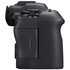 Canon EOS R6 Mark II + RF 24-105mm f/4 L IS USM