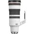 Canon RF 100-300mm f/2.8 L IS USM